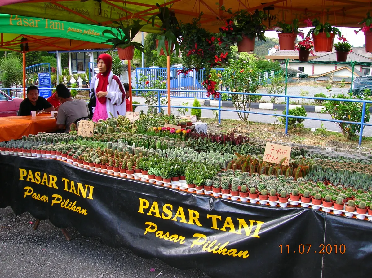 Market stalls with plants and flowers in Brinchang, Cameron Highlands